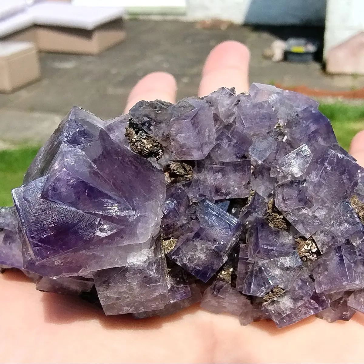 Minerals and Rocks sold/ claimed during a live stream.