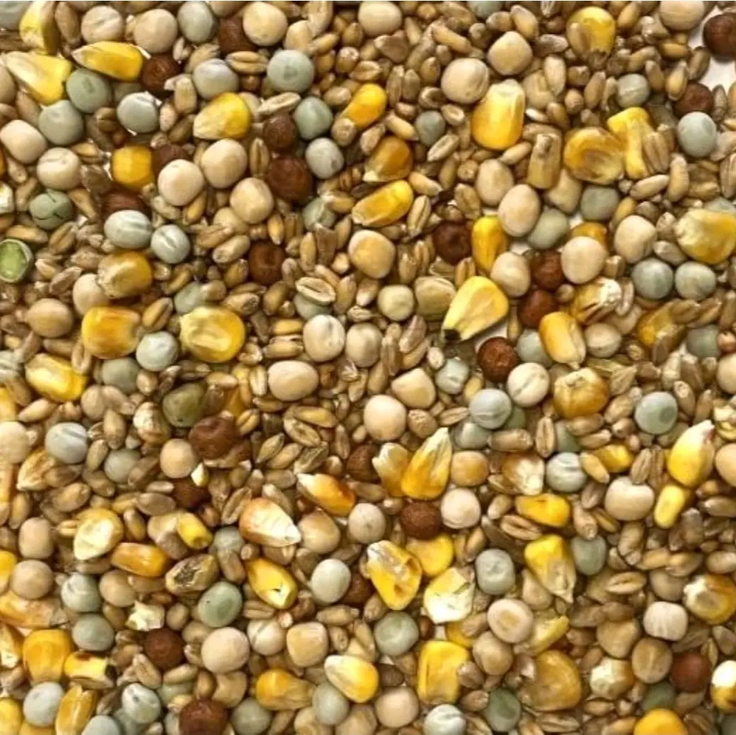 Pigeon Corn Feed Mix 1kg Economy Mix