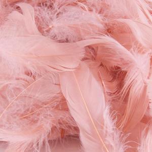 Rose Gold Eleganza Feathers 50g