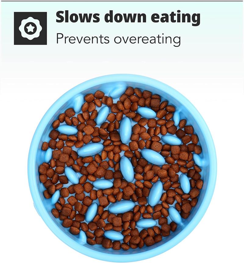 Product Introduction of Slow Feeder Dog Bowl - Slow Eating Dog Bowl - Interactive Feeder - Slow Down Feed Dog Cat Feeding Bowl - Pet Bloat Stop Dog Bowl 2