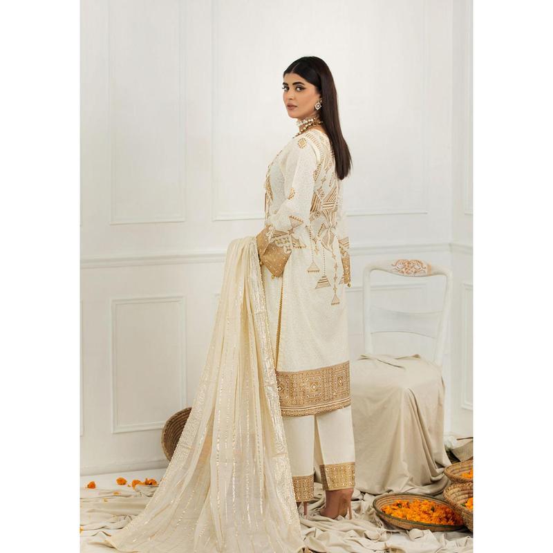 HSS-126 - Readymade Heeras Suit 1