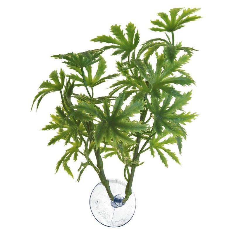 Zoo Med Betta Plant Papaya 1