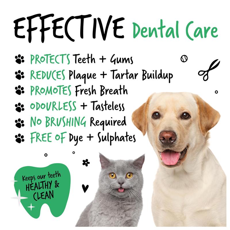 Bugalugs Dental Care Solution for Dogs & Cats - Dental Water Additive, Clean Teeth, Healthy Gums & Fresh Breath - No brushing needed 3