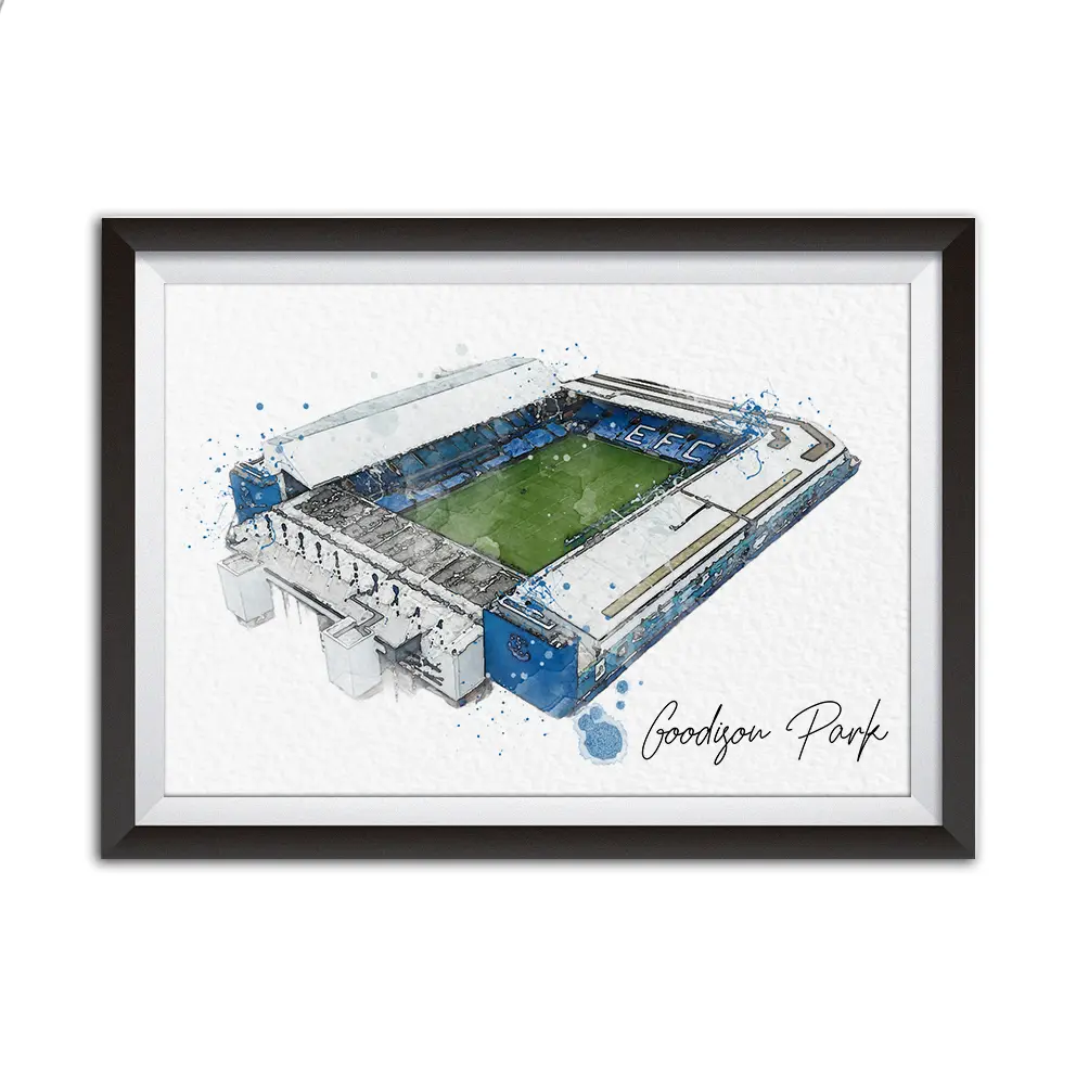 Goodison Park Stadium Everton A4 Watercolour Print NO FRAME perfect gift for a Everton fan fan