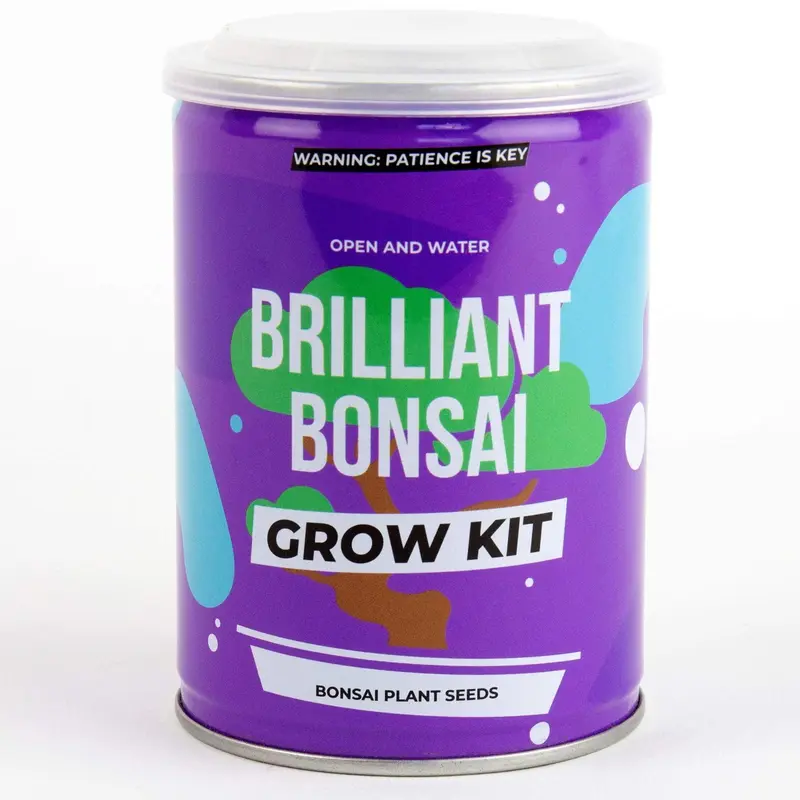 Gift Republic Grow Your Own Bonsai Tree 0