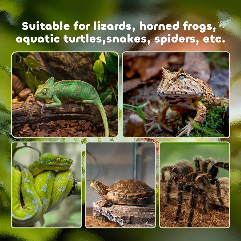PawHut Glass Reptile Terrarium Insect Breeding Tank Vivarium Habitats with Thermometer for Lizards, Horned Frogs, Snakes, Spiders 5
