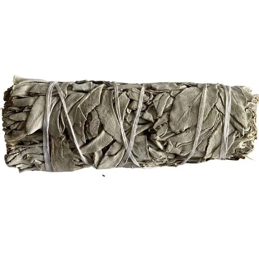 One White Sage Burning wand for Negative Energy Cleansing and Aroma Fragrance