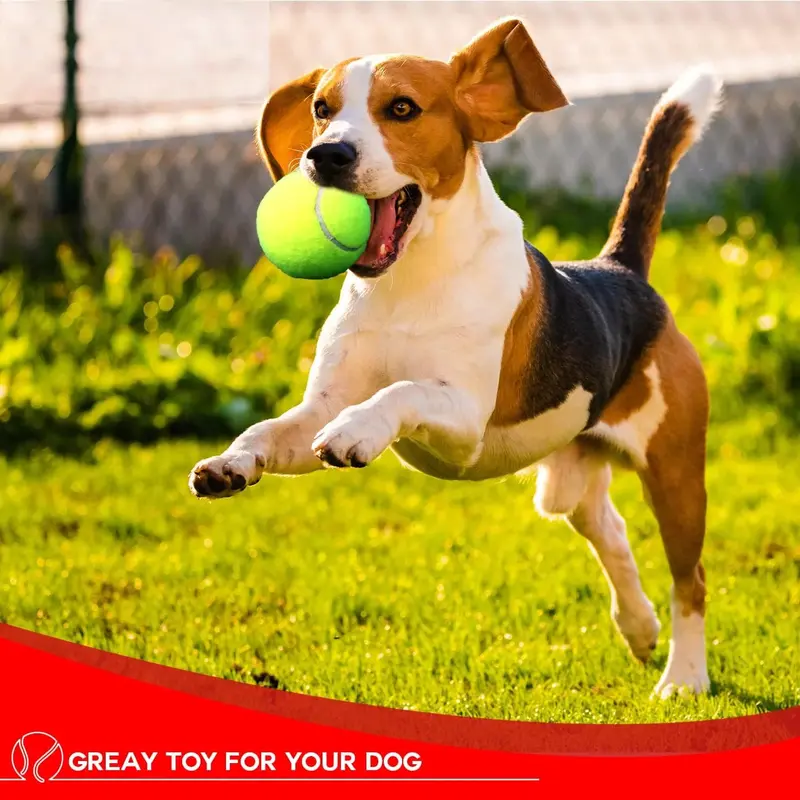 Pack of 6 Tennis Balls, Sport Play Dog Toy Ball, Great For Lessons, Practice, Throwing Machines & Playing with Pets 2