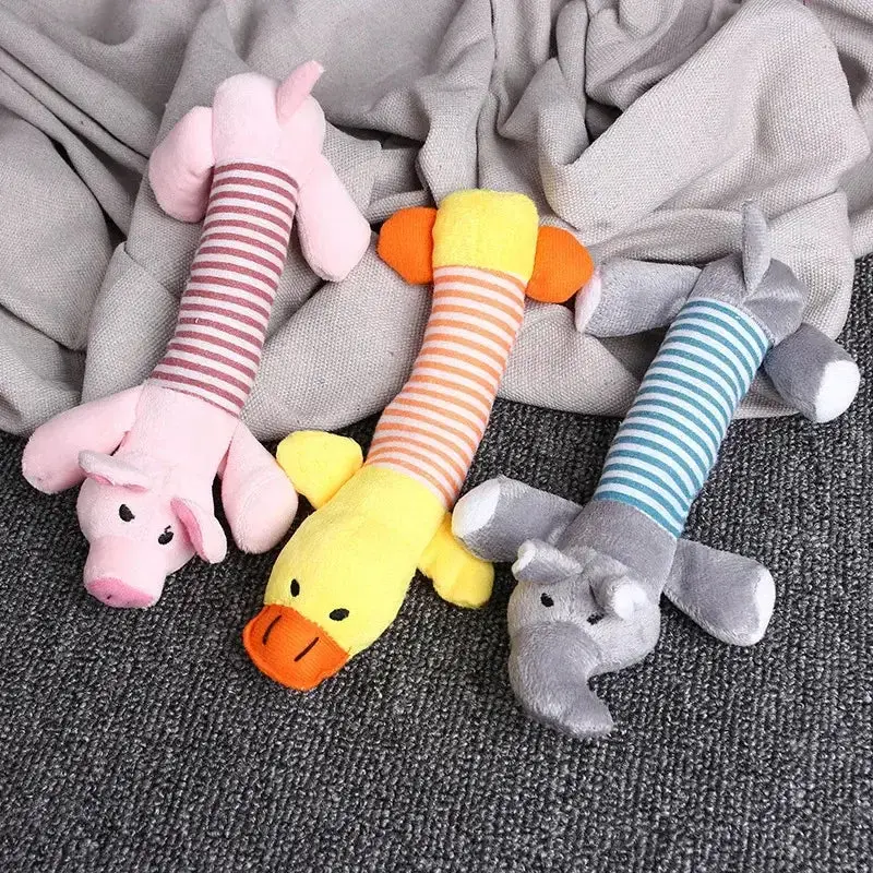 Squeak Plush Dog Toy 3