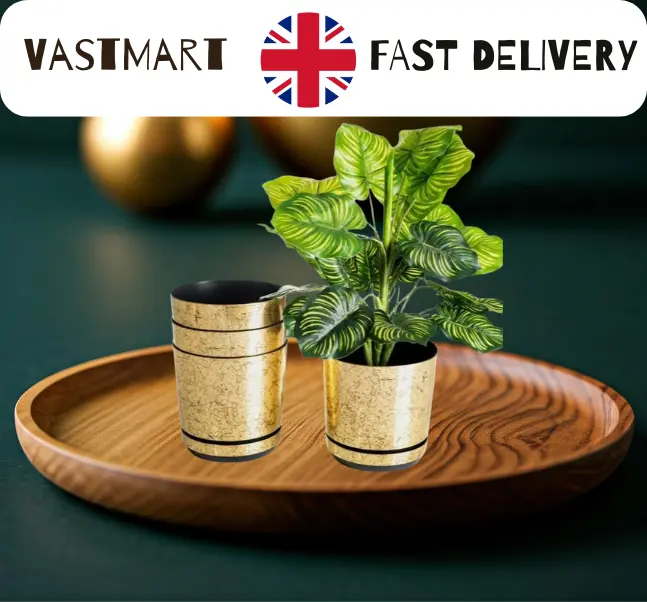 Indoor Plant Pots with Saucers and Drainage Holes Plastic Flowerpot Small Large