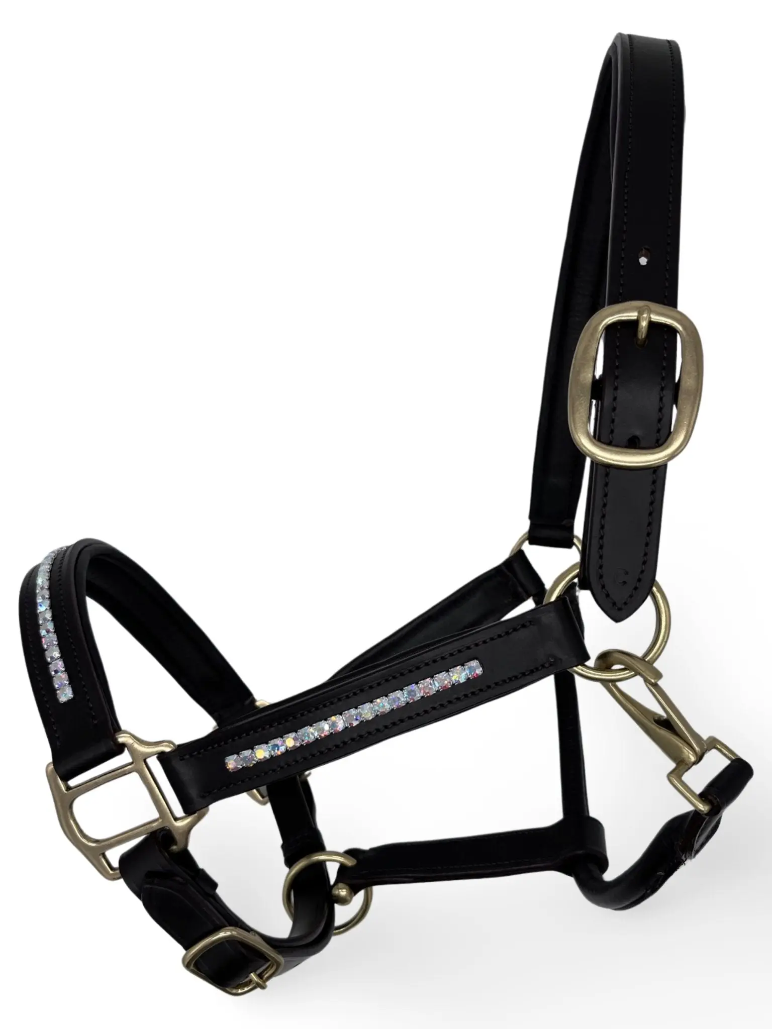Rainbow Shine Leather Headcollar
