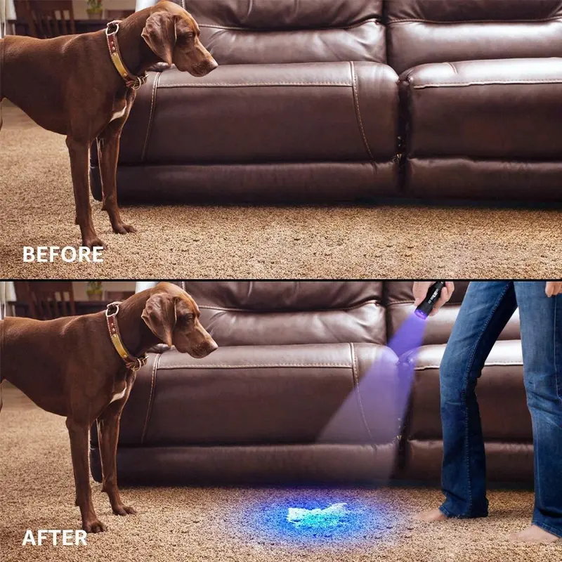 Urine Detectors Lepro LE UV Torch, 9 LED 395nm Ultraviolet Flashlight, Blacklight Detector for Pet Urine, Stain, Bed Bugs and More, 3 AAA Batteries Included [Energy Class F] 4