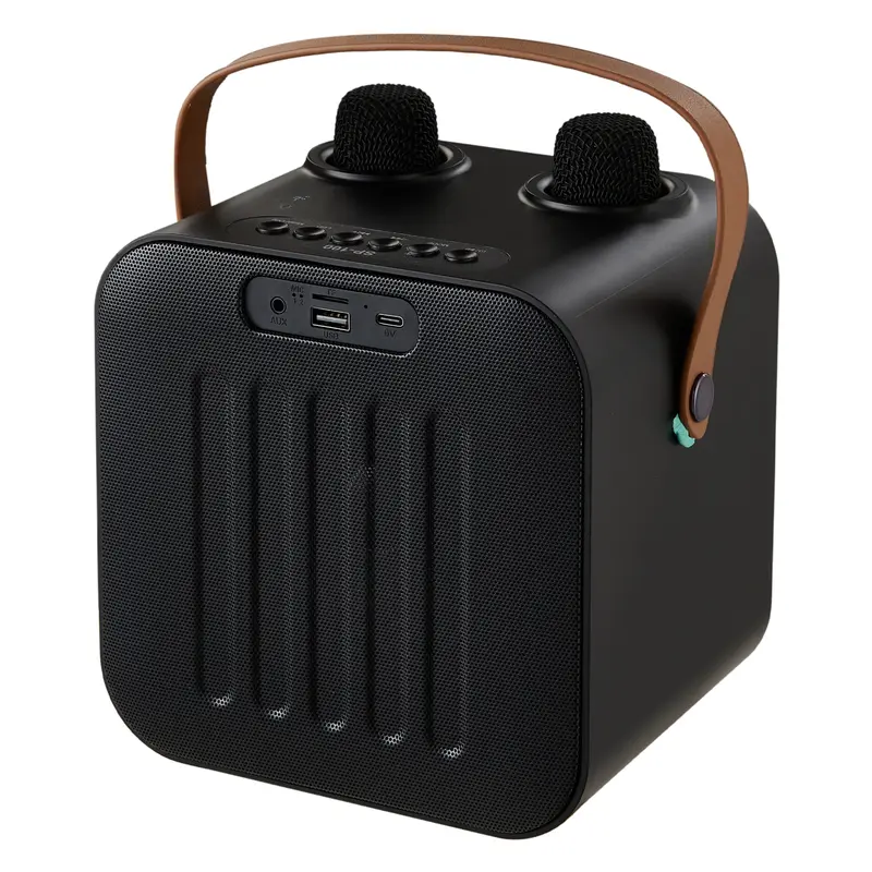 Lifeideas Portable Wireless bluetooth 5.0 RGB Light Karaoke Speaker With 2 Microphones Audio Smartphone 7
