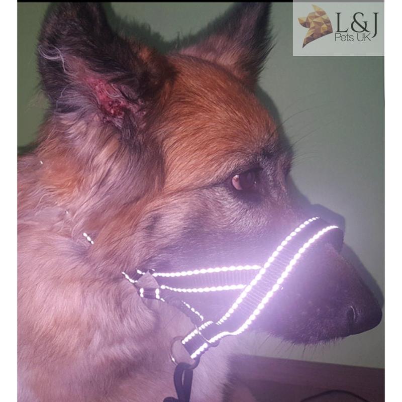 Reflective Padded Head Collar | Dog Training Halter Stops Dog Pulling Behaviour | Outdoor Hi-vis | Large, Small Dogs | Champion 3