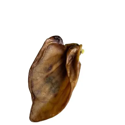 Pigs Ear - natural dog treat - Grain Free, Gluten Free, High Protein, Chondroitin & Glucosamine for Dental Health 4