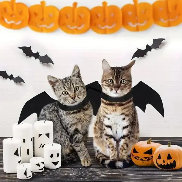 Cat Bat Wings Halloween Party Dress Bat Wing Design Pet Cosplay Halloween Costume 1 Count Halloween Theme Solid Color Bat Wing Cat Clothes For Halloween Party