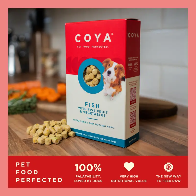 COYA Fish Freeze-Dried Raw Main Meal (150g) 1
