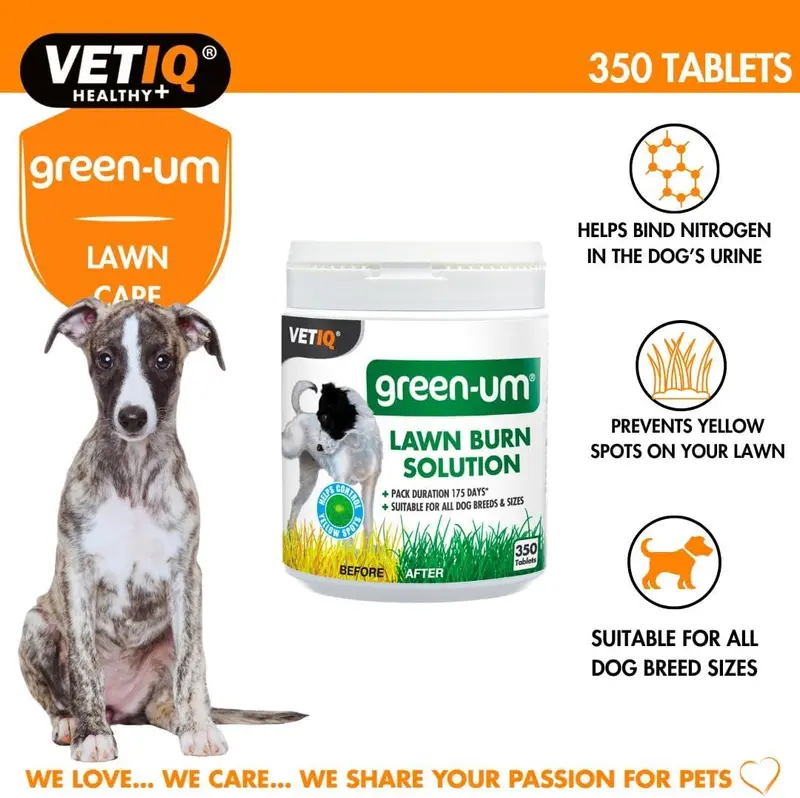 Mark And Chappell Ltd VetIQ Green-UM Lawn Burn Solution, one size, MCH0140 2