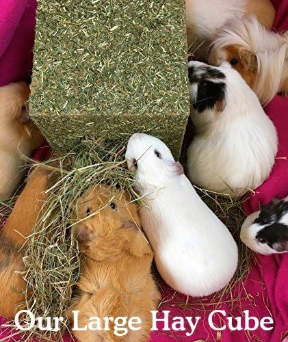 Naturals ‘I Love Hay’ Forage Cube, Treat & Toy for Small Animals, Large 3