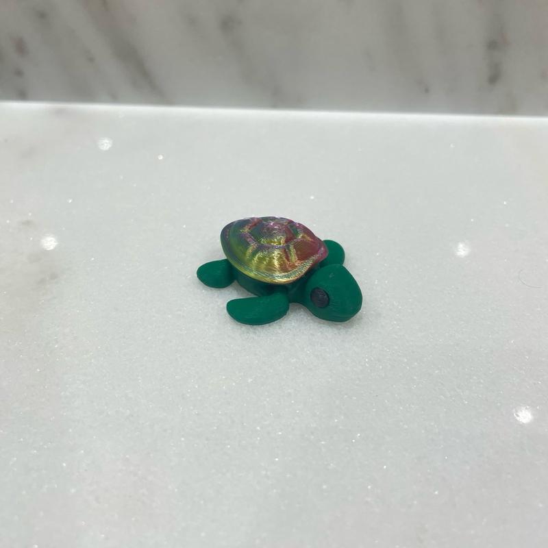 Rainbow Turtle Fidget Toy and Keyring Charm for Kids and Adults 3