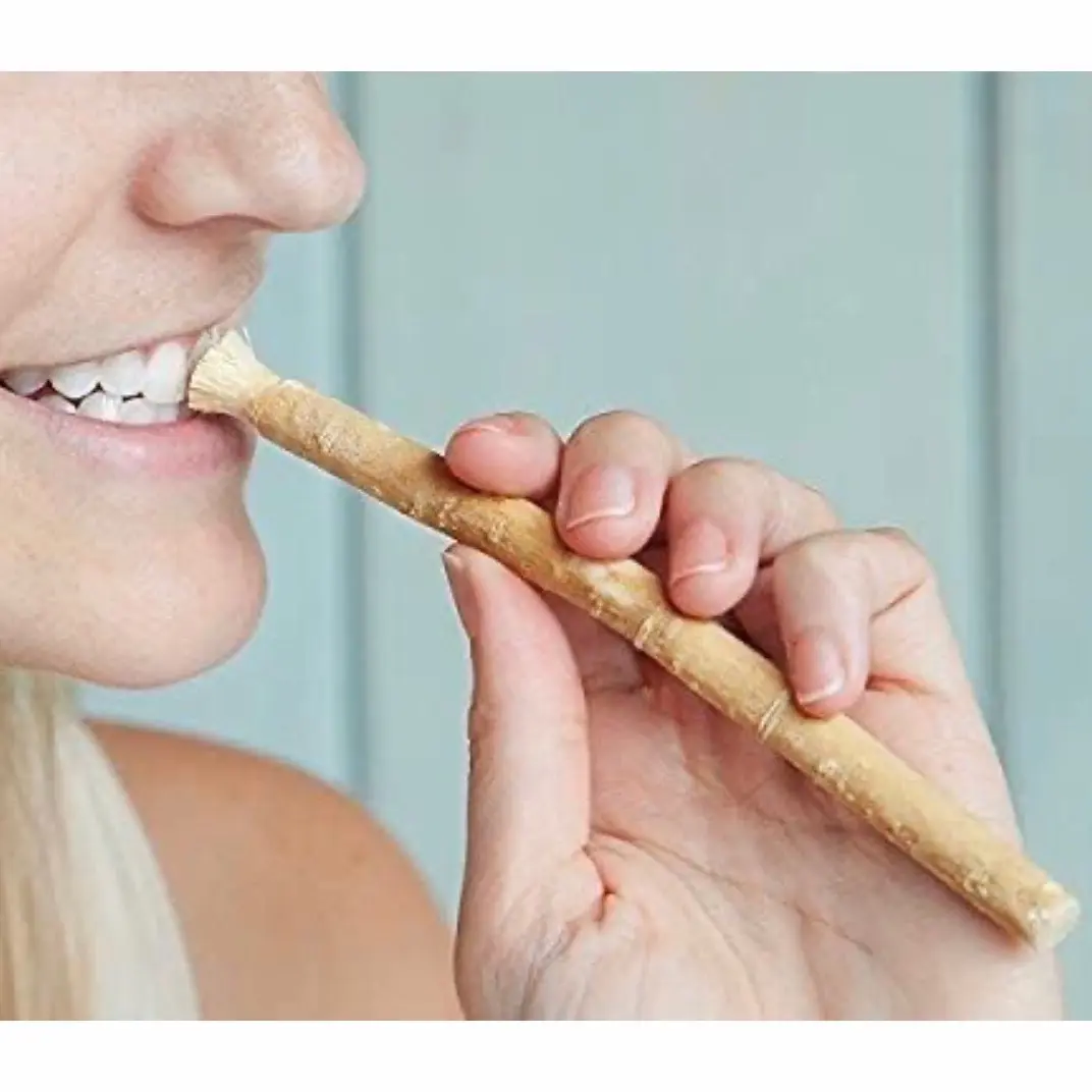 Miswak wooden toothbrush healthier brushing siwak