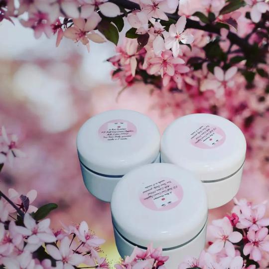 Molato Body Cream/Brightening Body Cream 250ml 5