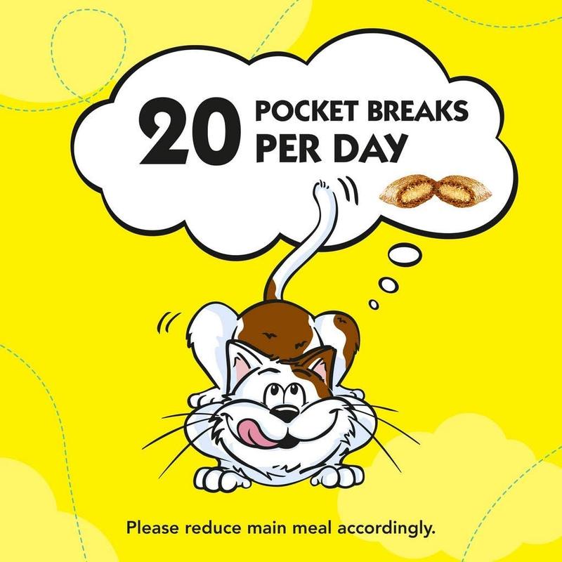 Dreamies Cat Treats Variety Pack, snacks with chicken, salmon flavour and cheese, Pack of 12 (12 x 60 g) 3