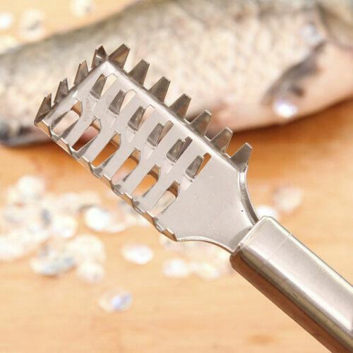 Fish Scale Remover Scraper Descaler Cleaner - Multi-Functional Stainless Steel Scale Removing Seafood Tool with Comfort Grip for Kitchen Utensils Peeler Remover Skin 1