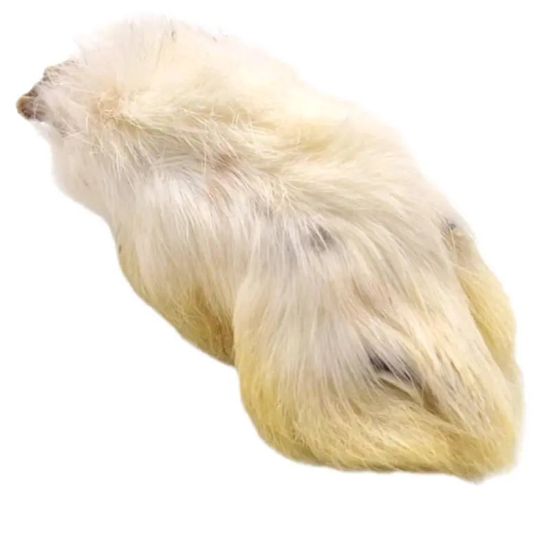 hairy rabbit foot 0