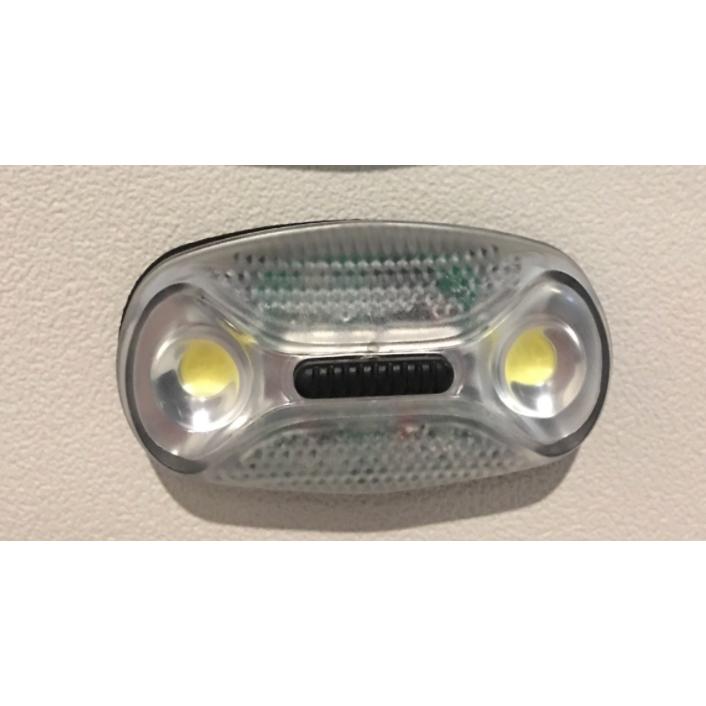Magnetic Light 4
