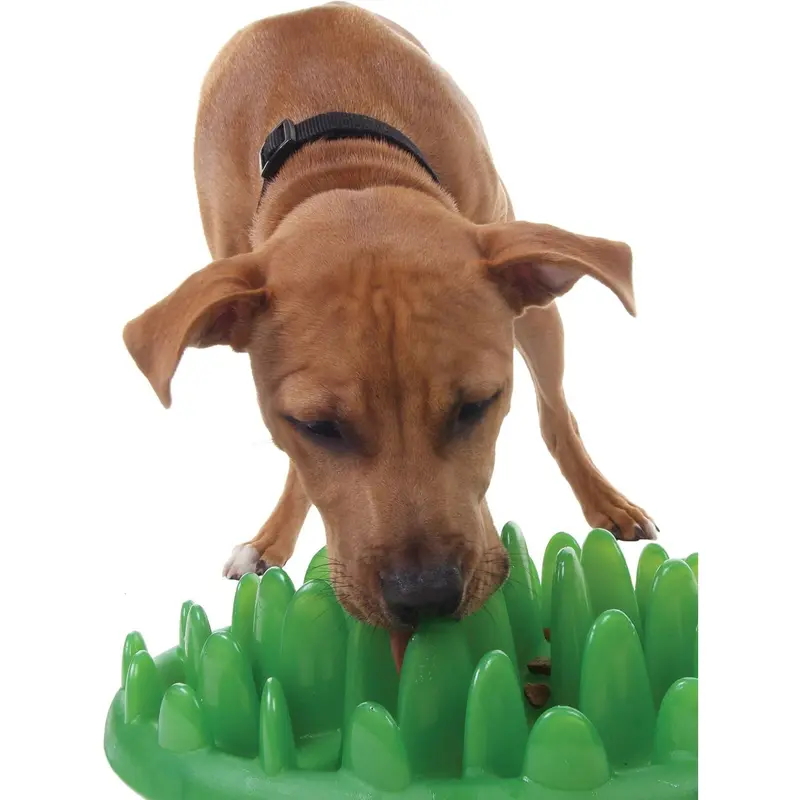Company of Animals GREEN Mini Slow Interactive Feeder for Dogs, Best Fun Slow Feeder Dog Bowl, Anti-Gulp, Gobble Stopper, Mental Stimulation Dog Puzzle, Suitable for Puppy & Small, Medium & Large Dogs 5