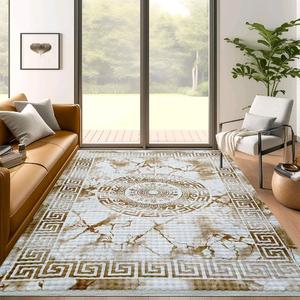 Plush Marble Area Rug – Luxury Persian Ornate Design, Non-Slip & Machine Washable Rug for Living Room & Bedroom