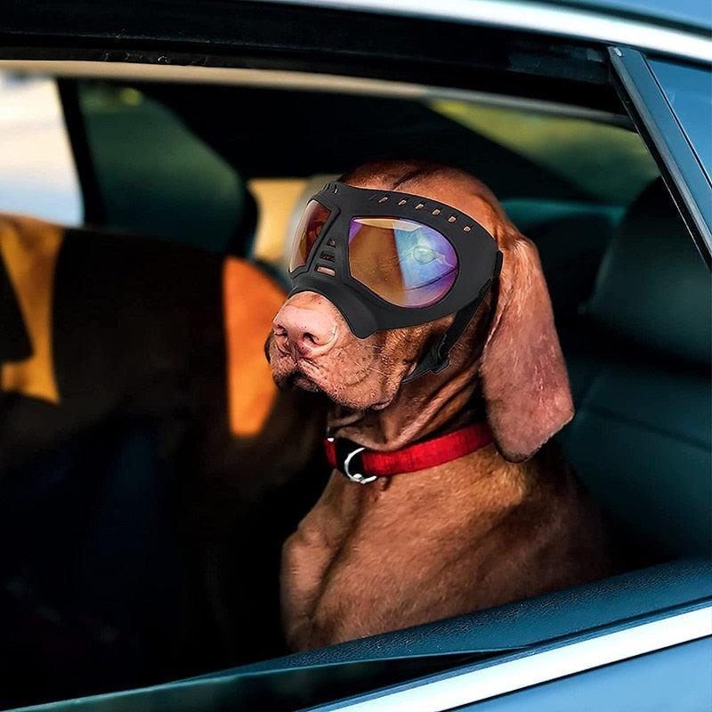 Soft Frame Puppy and Dog Glasses Goggles 0