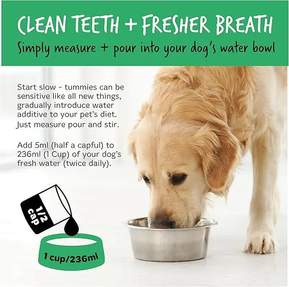 BUGALUGS Dog Breath Freshener Dental Care Water Additive. Clean Teeth, Healthy Gums & Fresh Breath - Natural Dog plaque remover & tartar remover for teeth - No Brushing Needed 3