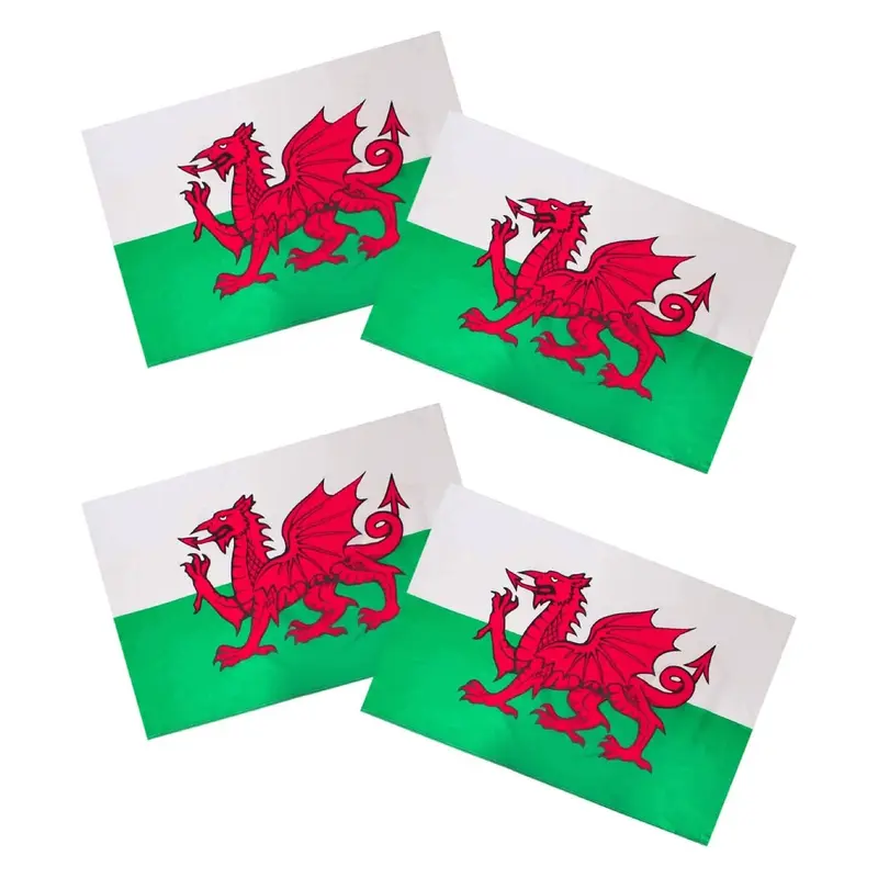 Wales Supporter Set - Stylish Welsh Bucket Hat, Inflatable Sword & Shield Accessories for Events Masks CYMRU Menswear Outfit Clothes Costumes 5