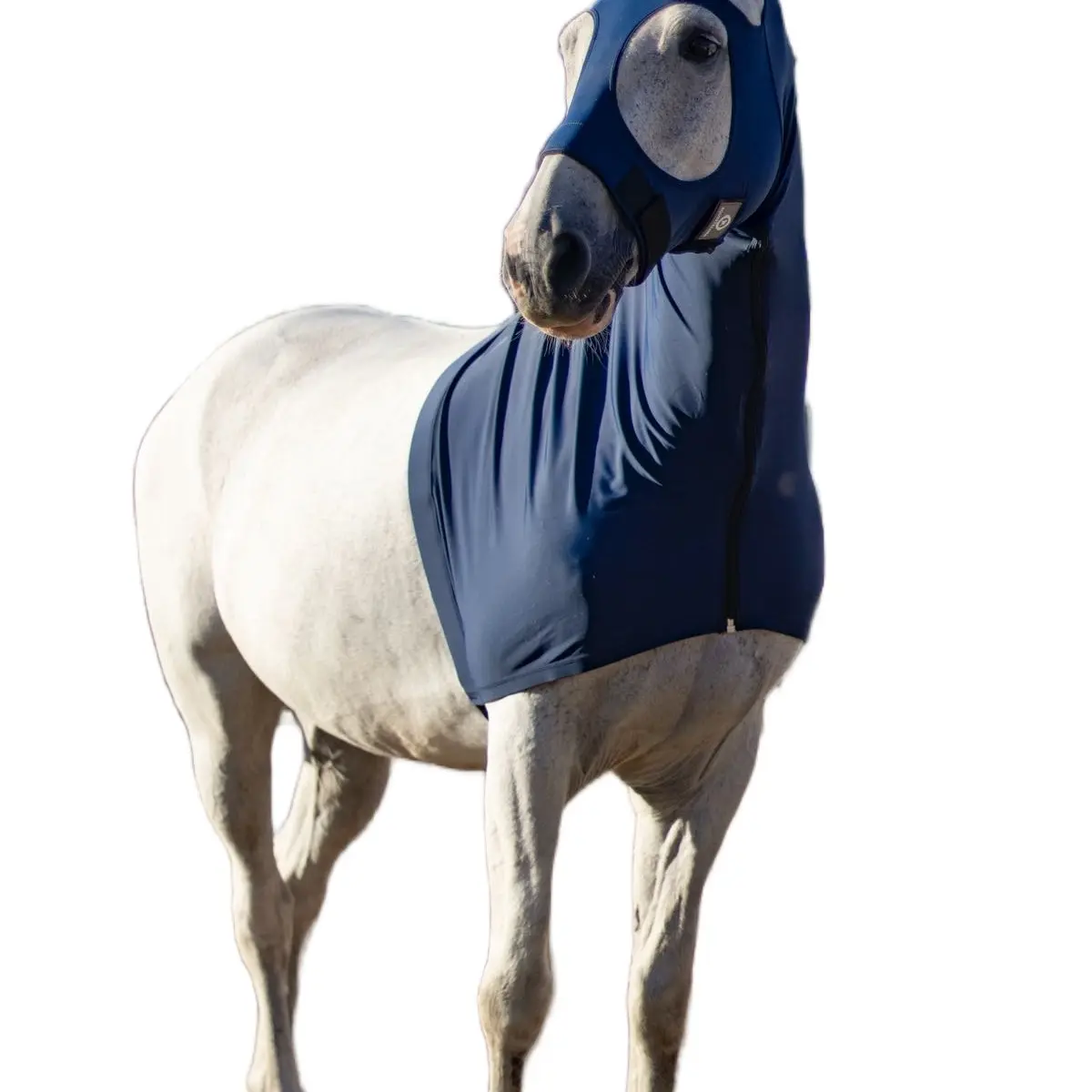 All Season Lycra Hood with YKK Zip & Ultra Velcro
