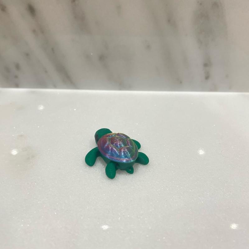 Rainbow Turtle Fidget Toy and Keyring Charm for Kids and Adults 1