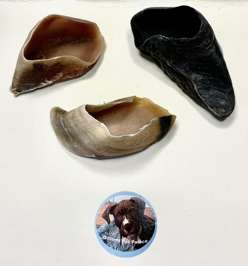 Product Introduction of Natural Cow Hoof Treat for Dogs - Unfilled and Healthy 9