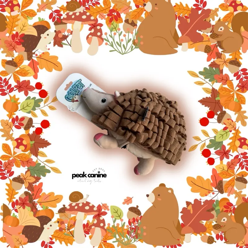 SNUFFLE MAT BUNDLE - 1 x COOLPET SNUFFLE MAT - CHOICE OF WITH OR WITHOUT 2 x TREAT POUCHES - Peak Canine Snuffle Mat with or without 2 x Hollings Natural Training Treat Pouches 2