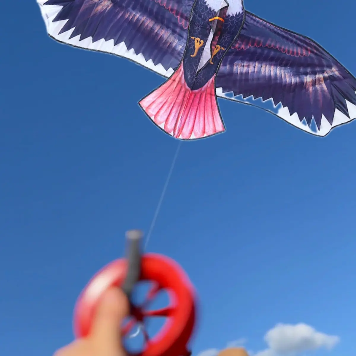 MQ high quality eagles clothes kites suits for kids and adults easy to fly 180cm big come with bag