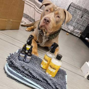Product Review of Natural Flea Protect Spray from N**💫 0