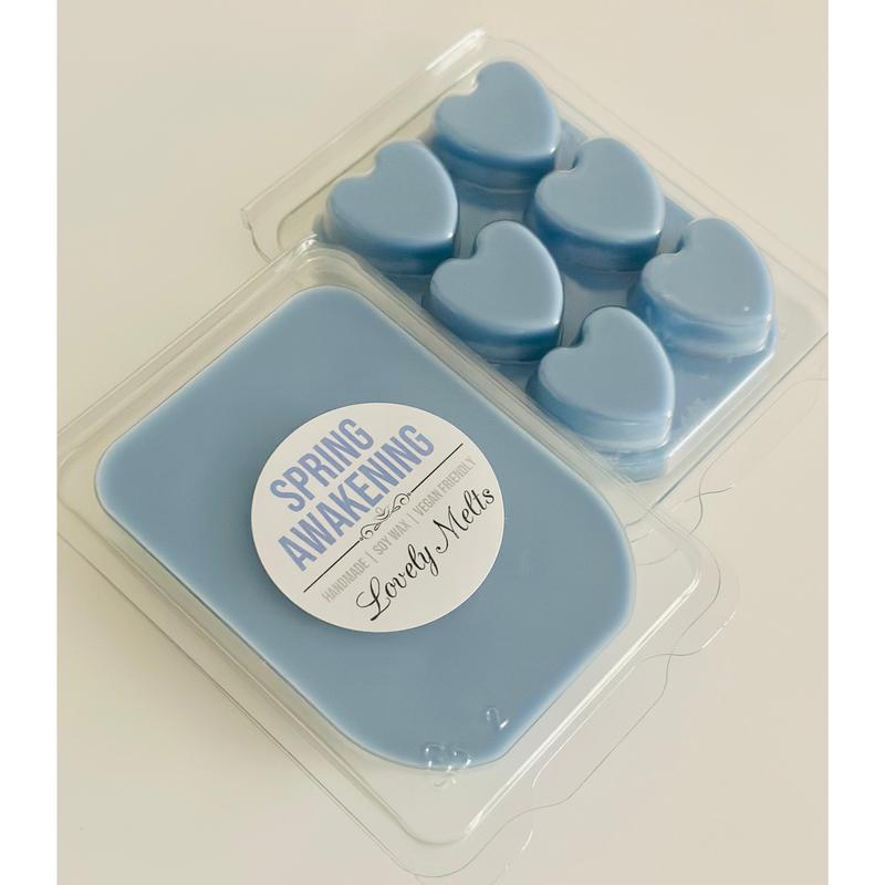 SPRING AWAKENING (LAUNDRY) Soy Wax Melts 1
