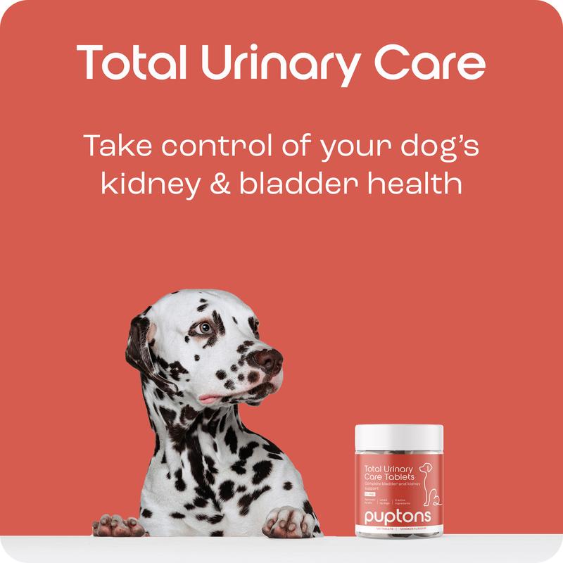 Puptons Urinary Care | Dog UTI, Incontinence & Cystitis Relief Tablets | Natural Ingredients | Advanced Bladder & Kidney Support for Dogs 2