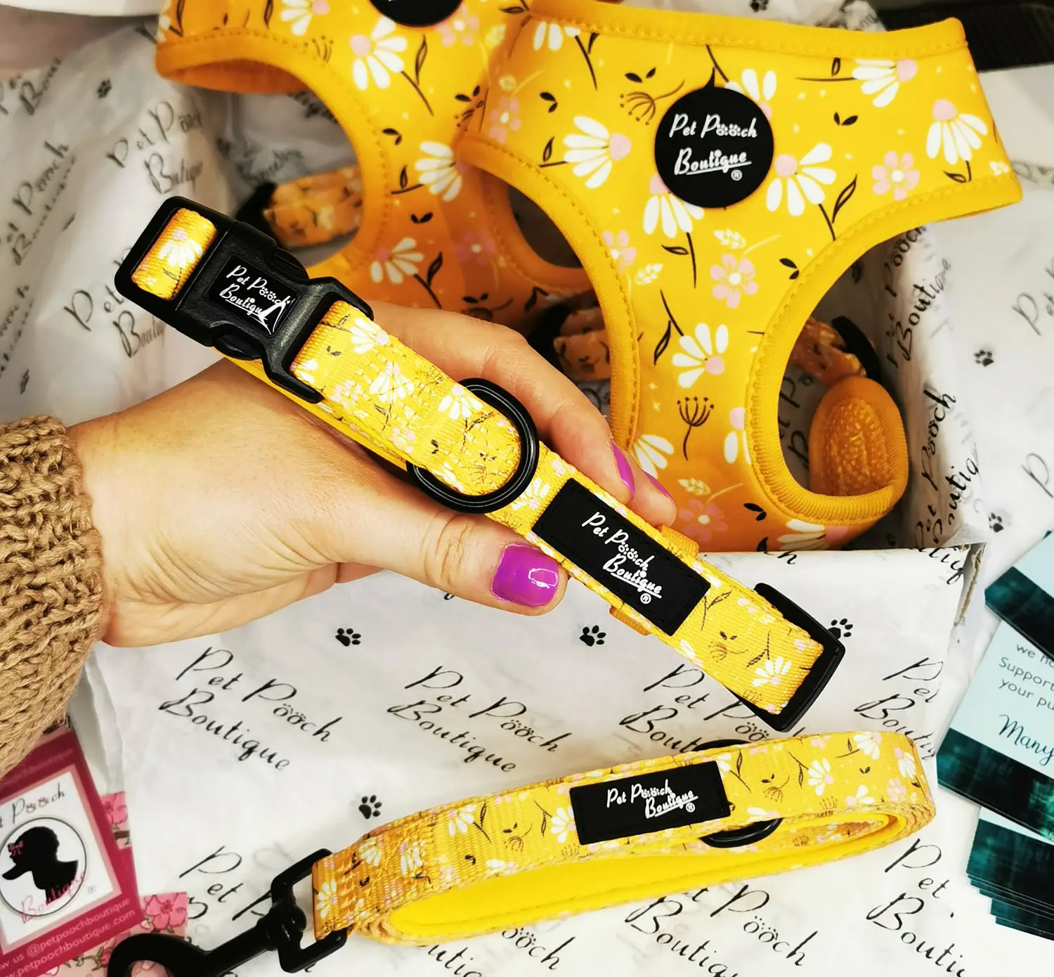 Sunshine Daisy Dog Collar