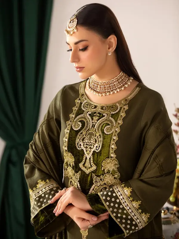 HEERA'S 3 PIECE SUIT DHANAK VELVET EMBROIDERED SUIT 5