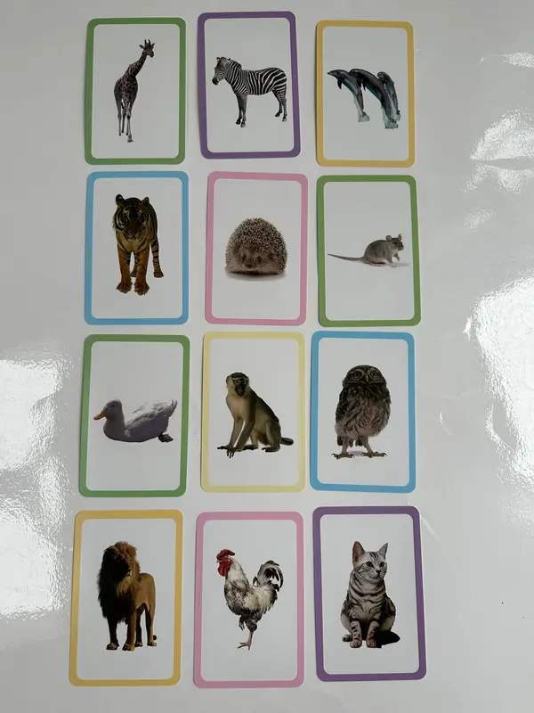 Early Educational Toys Children Cognition Cards Double Side Flash Cards, Baby Kids Montessori Gifts (Animals) 2