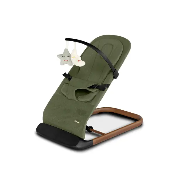 Amana FloraHop Bouncer: Suitable From Birth, Multi Positon, Portable - Sage Green