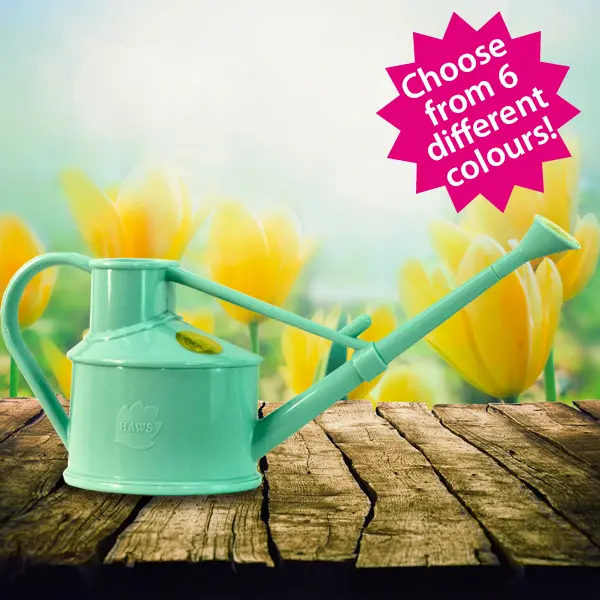 Premium Watering Can 0.7L – Choose from 5 colours!
