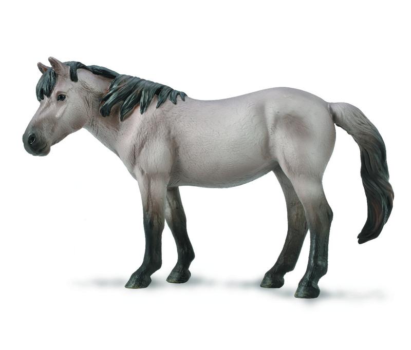 Konik Mare – Blue Dun 0