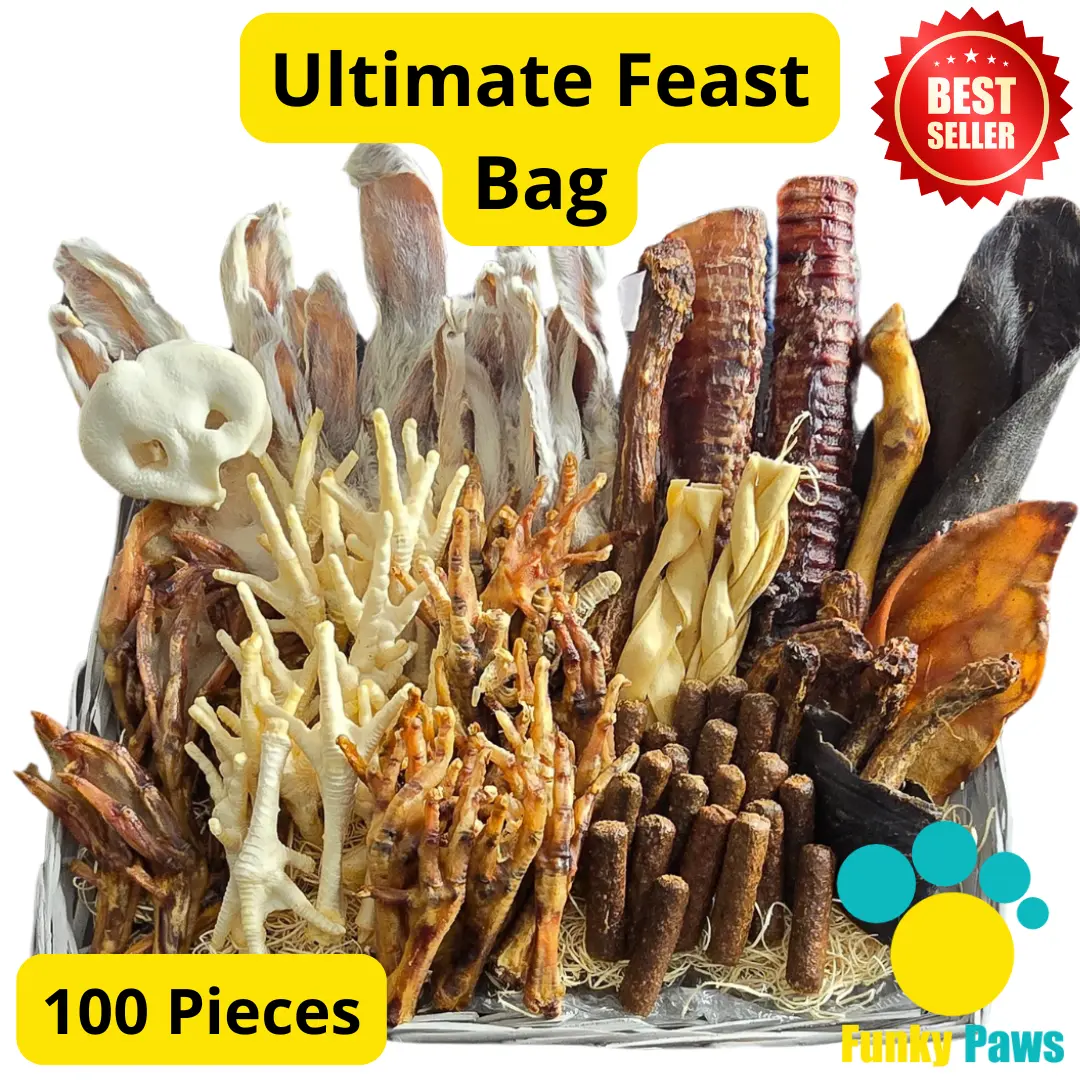 100 Piece Ultimate Feast Treat Bag